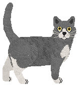 Fire/Namira Flying Without Wings — “Imogen”