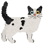 Parody Imagine One Day — “Puma”