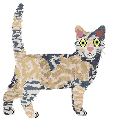 Cafuné Come To Me Like Spring — “Ziva”