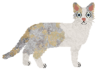 Cafuné Note to Myself — “Zelda”