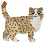 Cafuné Cinnamon Girl — “Vena”