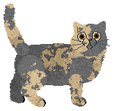 Cafuné Brave New World — “Sissy”