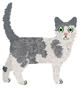 Cafuné Miss U Crazy — “Rafael”