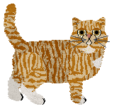 Bonfire Sunflower Cat — “Maru”