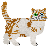 Cafuné Miss California — “Kahlua”