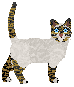 Cafuné The New Timer — “Luigi”