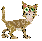 Cafuné Hungry and Angry — “Angy”