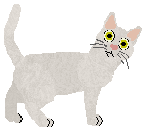 Profile image of Glitterfeet's Boss Man