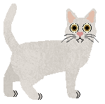 Glitterfeet's Marshmallow — “Chunk”