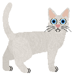 Glitterfeet's Sugar Alternative — “Splenda”