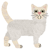 Blizzard Golden Ceiling — “Saba”