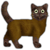 Profile image of Blizzard Is it just fantasy?