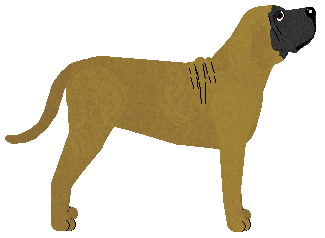 Oxeye Burning Man — “Krizz”