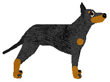 Energizing Spicy California — “Brocca”