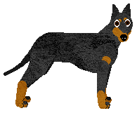 Profile image of Energizing Spicy California