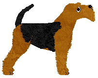 Cansas' No Way No — “Nyx”