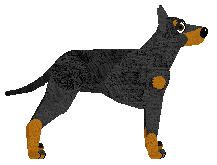 Energizing Han Solo — “Hans”