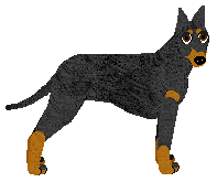 Profile image of Energizing Han Solo