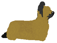 Energizing All Summer Long — “Jess”