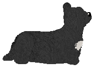 Energizing Love Me Long — “Kiara”