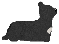 Energizing Love Me Long — “Kiara”