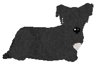 Profile image of Energizing Love Me Long