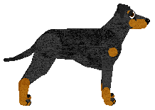 Energizing BLACK FERRARI — “Turbo”