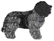 DeeOhGee's Seven O'Clock — “Vaiana”