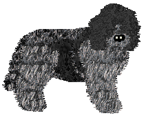 Profile image of DeeOhGee's Seven O'Clock