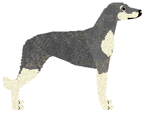 Cansas' DAMASCUS — “Aeolus”