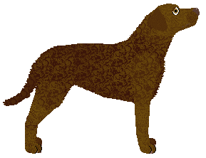 MORPHEE's Tamuz — “Tarya”