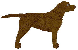 MORPHEE's Demorgorgon — “Bone”