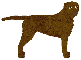 Profile image of MORPHEE's Demorgorgon