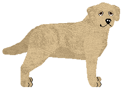 Profile image of LANCELOT Amore Mio