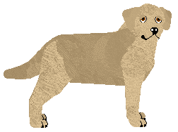 Profile image of MORPHEE's Miracle