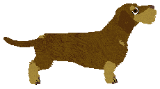 Dragosani W MAŁYM CIELE WIELKI DUCH — “Nira”