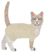 Witz's Combustion Machine — “Chamber”