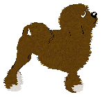 Czeko's Royal Star — “Lizzie”