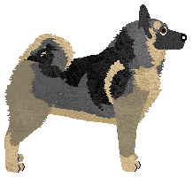 Koiyaki Cherry on Top — “Cherry”