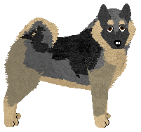 Profile image of Koiyaki Cherry on Top