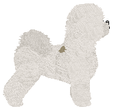 Jeanelle's Wesoły Poniedziałek — “Oksymoron”