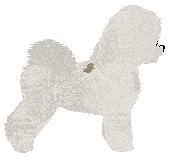 Jeanelle's Wesoły Poniedziałek — “Oksymoron”