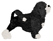 Czeko's NIE DZIŚ — “Still”