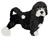 Profile image of Czeko's NIE DZIŚ