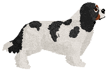 TRUSKAWKA of Explosion — “Bell”