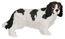 Profile image of TRUSKAWKA of Explosion