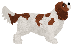 SERNICZEK of Explosion — “Korniszon”