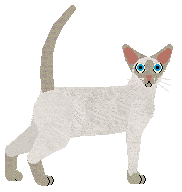 Cymophane 100 to 180 Degrees — “Typhoon”