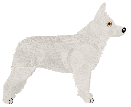 Ravenskeep Babylon — “Zeke”