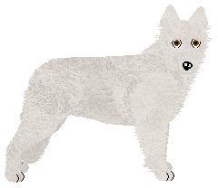 Profile image of Ravenskeep Babylon